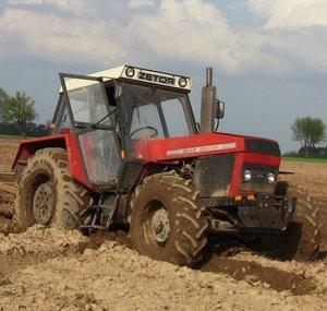 Tomek2196