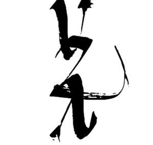 VZA (VZA)
