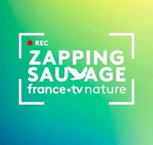 Zapping Sauvage