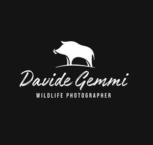 Davide Gemmi Wildlife