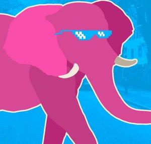 Elephants Doing Crack