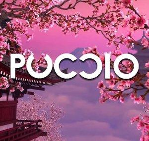 Puccio