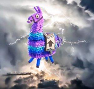 Shweedii