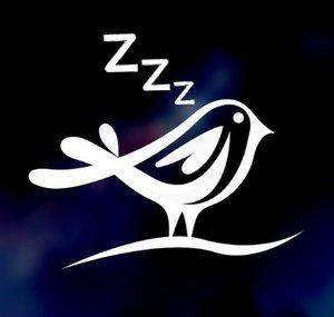 Soothing Night