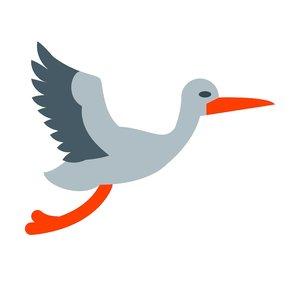 Storks nest online