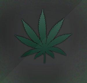 420 Squad