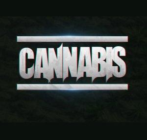 Cannabis