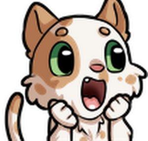 Catthecake