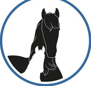 Friesian Horses