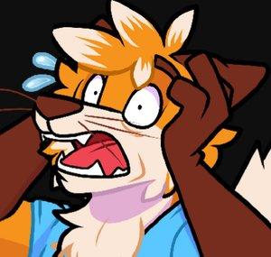 Part Time Fox