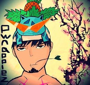 Pwnapplez's Let Plays (Pwnapplez)