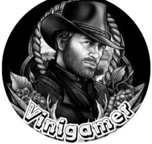 Vinigamer