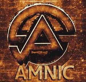 AmnicPSN