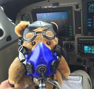 DrBear Aviation