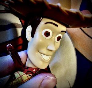 DVDWoody