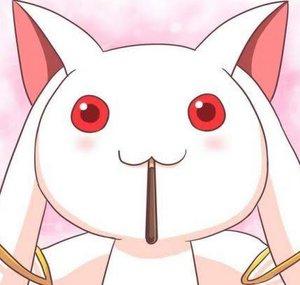 Ese Pinche Gato