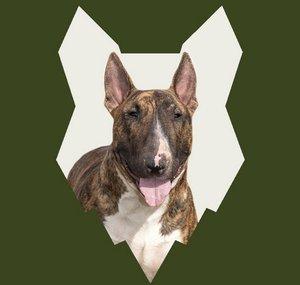 Fenrir Bull Terrier Show