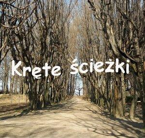 Kręte ścieżki - Paweł Szulc