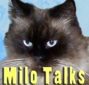 MiloTalks