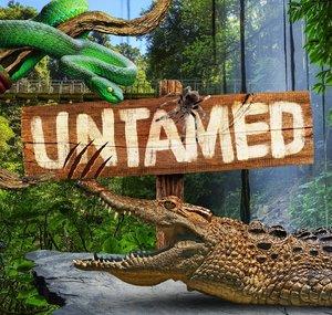 Untamed