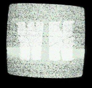 White Noise Team