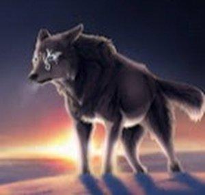 Wolfgamers11