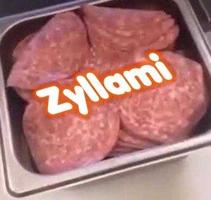 Zyllami