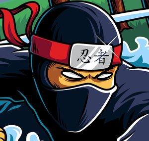 ErasableNinja