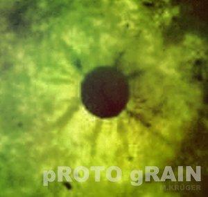 pROTO gRAIN