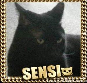 SensiLand