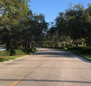 The Transit Walks