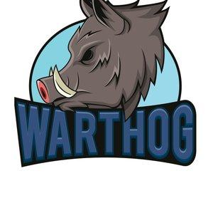 Warthog 🐗 