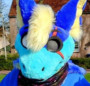 Aoi the Dutch Angel Dragon