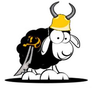 Crazed Sheep