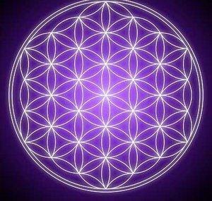 Endless_Simplexity 
