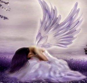 LavendelbutterFlys