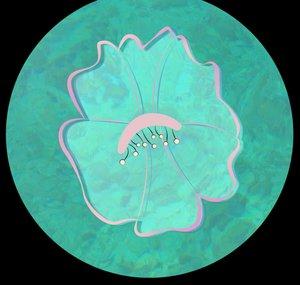 Lowlands Blossom