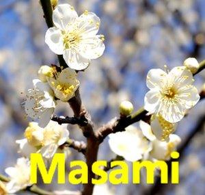 Masami43 (征美)