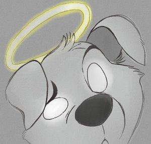 moonboi