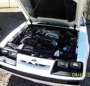 sc83stang