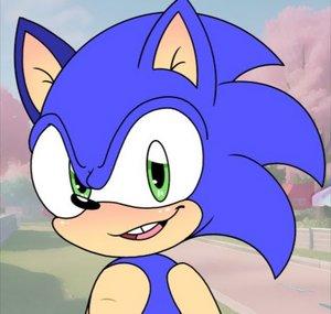 Sonic X Randomness 