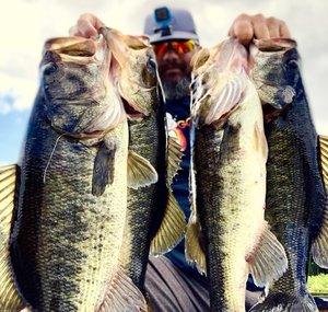 ted lincoln's fishing life
