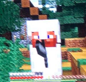 Armless Steve