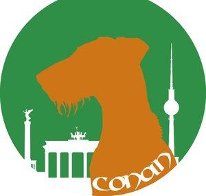 Conan - der Irish Terrier