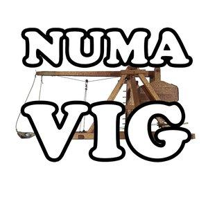 NumaVIG