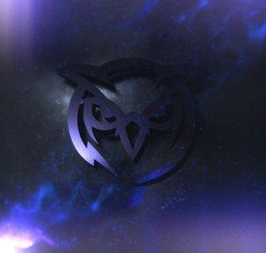 Owl Studio