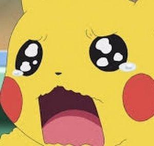 pika995