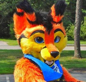 Valdor Fox