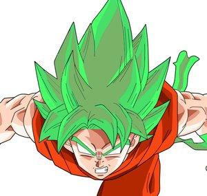 Xeroskii