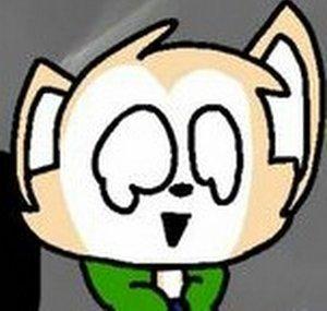 a random shiba